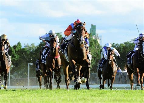 Queensland Derby Tips, Betting Odds, Past Winners and .